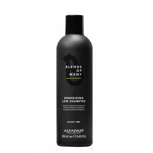 Alfaparf Milano Energizing Low Shampoo jemný posilňujicí šampon proti vypadávání vlasů 250 ml obraz