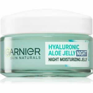 Garnier Hyaluronic Aloe Jelly noční gelový krém pro hydrataci a vyhlazení pleti 50 ml obraz