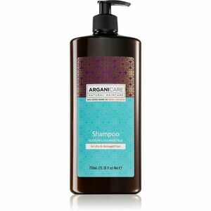 Arganicare Argan Oil & Shea Butter šampon pro suché a poškozené vlasy 750 ml obraz