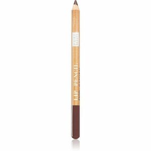 Astra Make-up Pure Beauty Lip Pencil konturovací tužka na rty natural odstín 02 Bamboo 1, 1 g obraz