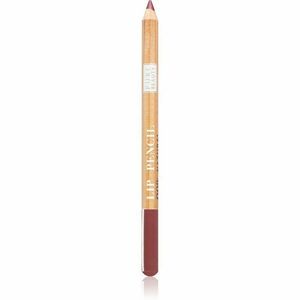 Astra Make-up Pure Beauty Lip Pencil konturovací tužka na rty natural odstín 06 Cherry Tree 1, 1 g obraz