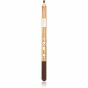 Astra Make-up Pure Beauty Lip Pencil konturovací tužka na rty natural odstín 01 Mahogany 1, 1 g obraz