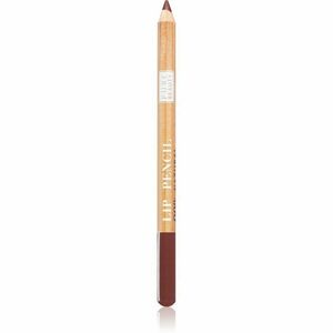 Astra Make-up Pure Beauty Lip Pencil konturovací tužka na rty natural odstín 03 Maple 1, 1 g obraz