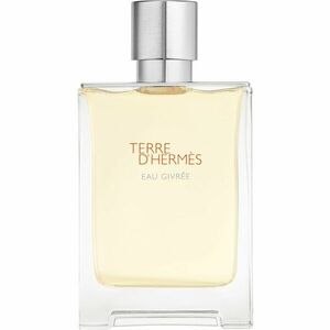 HERMÈS Terre d’Hermès Eau Givrée parfémovaná voda pro muže 100 ml obraz