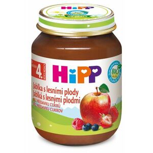 Hipp OVOCE BIO Jablka s lesními plody 125 g obraz