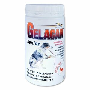 GELACAN Senior 500 g obraz