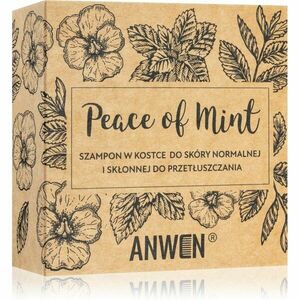 Anwen Peace of Mint tuhý šampon in alu can 75 g obraz