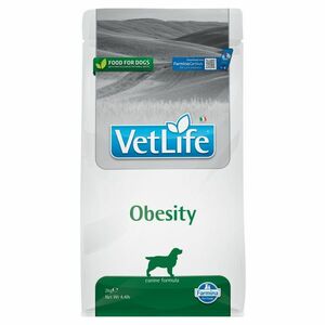 VET LIFE Natural Obesity granule pro psy, Hmotnost balení: 2 kg obraz