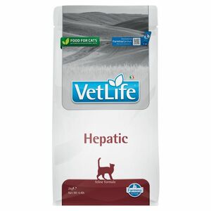 VET LIFE Natural Hepatic granule pro kočky, Hmotnost balení: 10 kg obraz
