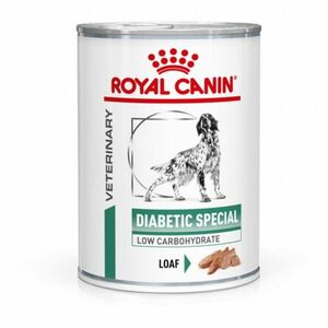 ROYAL CANIN Diabetic special konzerva pro psy 410 g obraz