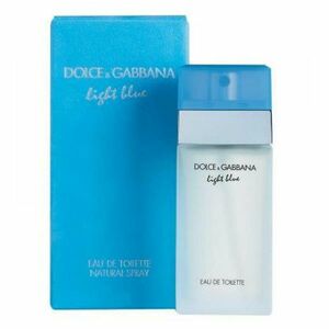 DOLCE & GABBANA Light Blue Toaletní voda 100 ml obraz
