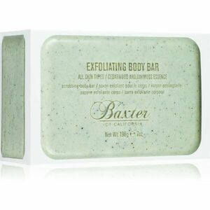 Baxter of California Exfoliating Body Bar Cedarwood & Oakmoss Essence exfoliační tělové mýdlo pro muže 198 g obraz