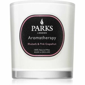 Parks London Aromatherapy Tobacco & Leather vonná svíčka 220 g obraz