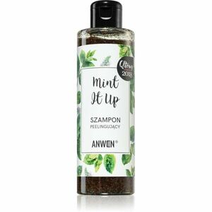 Anwen Mint It Up exfoliační šampon 200 ml obraz