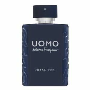 Salvatore Ferragamo Uomo Urban Feel toaletní voda pro muže 100 ml obraz