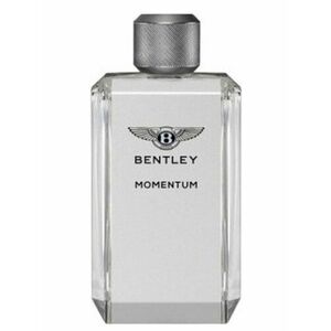 Bentley Momentum - EDT 100 ml obraz