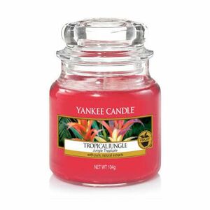 Yankee Candle Aromatická svíčka Classic malá Tropical Jungle 104 g obraz