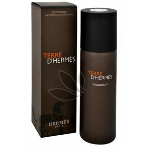 Hermes Terre D´ Hermes - deodorant ve spreji 150 ml obraz