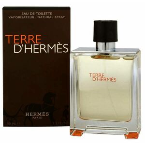 Hermes Terre D´ Hermes - EDT 50 ml obraz