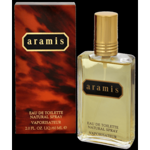 Aramis Aramis For Men - EDT 110 ml obraz