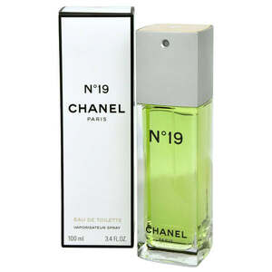 Chanel No. 19 - EDT 100 ml obraz