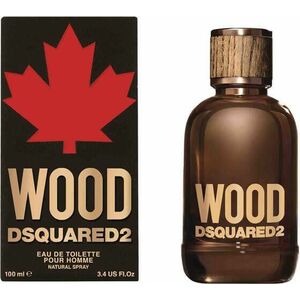 Dsquared² Wood For Him - EDT 100 ml obraz