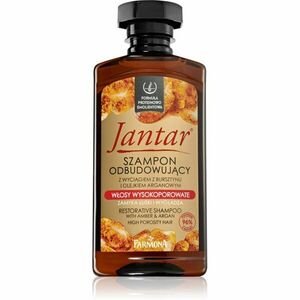 Farmona Jantar High Porosity Hair vyživující šampon pro lesk a hebkost vlasů 330 ml obraz