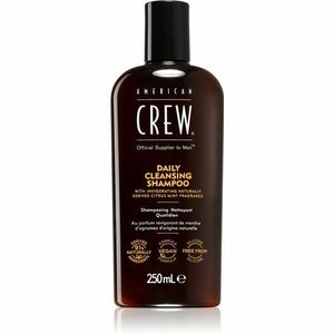 American Crew Daily Cleansing Shampoo denní šampon pro muže 250 ml obraz