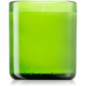 Designers Guild Green Fig Glass vonná svíčka 220 g obraz