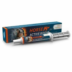 BIOVETA Horse Active Boost perorální pasta 20 g obraz