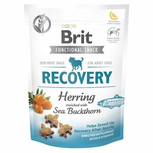 BRIT Care Dog Functional Snack Recovery Herring sleď s rakytníkem pro psy 150 g obraz