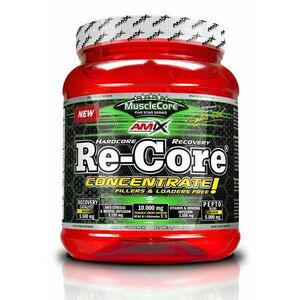 Re-Core Concentrate - Amix 540 g Fruit Punch obraz