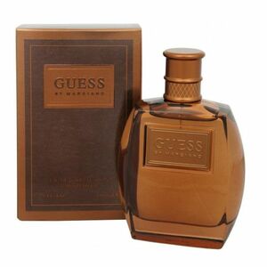 GUESS Guess by Marciano For Men Toaletní voda 100 ml obraz