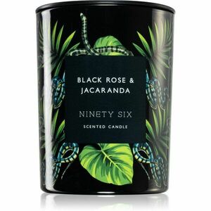 DW Home Ninety Six Black Rose & Jacaranda vonná svíčka 413 g obraz