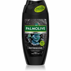 Palmolive Men Refreshing sprchový gel pro muže 2 v 1 pro muže 250 ml obraz