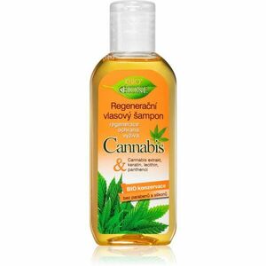Bione Cosmetics Cannabis regenerační šampon 80 ml obraz