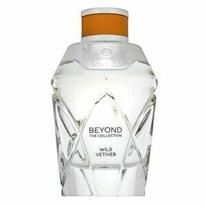 Bentley Beyond The Collection Wild Vetiver Java parfémovaná voda unisex 100 ml obraz