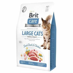 BRIT Care Cat Large cats Power&Vitality granule pro velké kočky 1 ks, Hmotnost balení: 2 kg obraz
