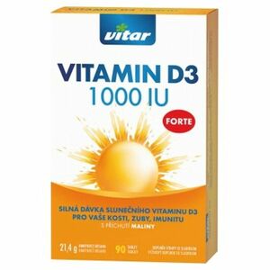 VITAR Vitamin D3 Forte 1000 IU 90 tablet obraz