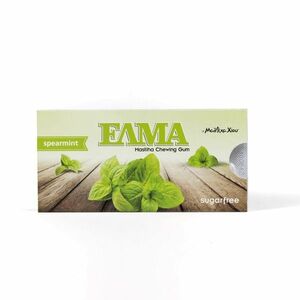 ELMA Spearmint žvýkačka s mastichou 10 ks obraz
