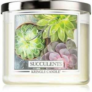 Kringle Candle Succulents vonná svíčka I. 397 g obraz