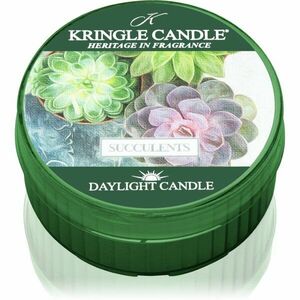 Kringle Candle Succulents čajová svíčka 42 g obraz