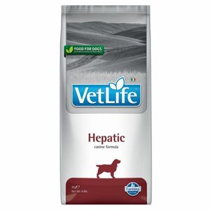 VET LIFE Natural Hepatic granule pro psy, Hmotnost balení: 2 kg obraz