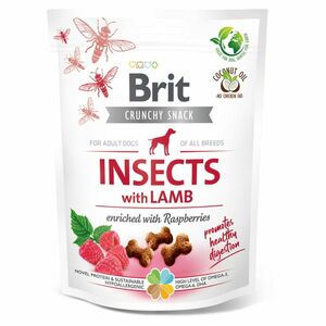 BRIT Care Crunchy Snack Insects with Lamb pamlsky s hmyzem a jehněčím pro psy 200 g obraz