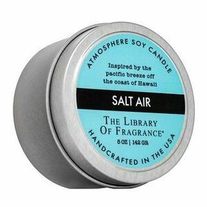 The Library Of Fragrance Salt Air vonná svíčka 142 g obraz
