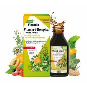 Salus Floradix Vitamin-B-komplex 250 ml obraz