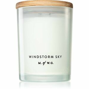 Makers of Wax Goods Windstorm Sky vonná svíčka 425 g obraz