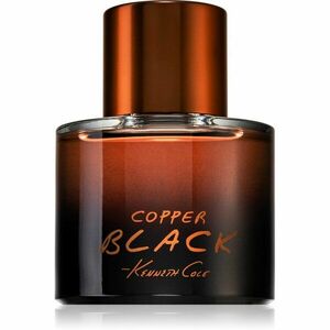 Kenneth Cole Copper Black parfémovaná voda pro muže 100 ml obraz