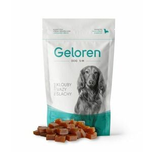 Geloren Dog S-M kloubní výživa 60 tablet obraz