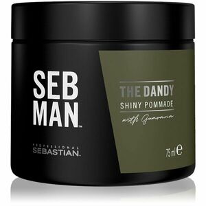 Sebastian Professional SEB MAN The Dandy pomáda na vlasy pro přirozenou fixaci 75 ml obraz